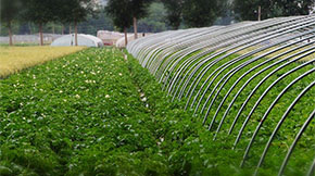 如何制作出合格的有機(jī)肥？