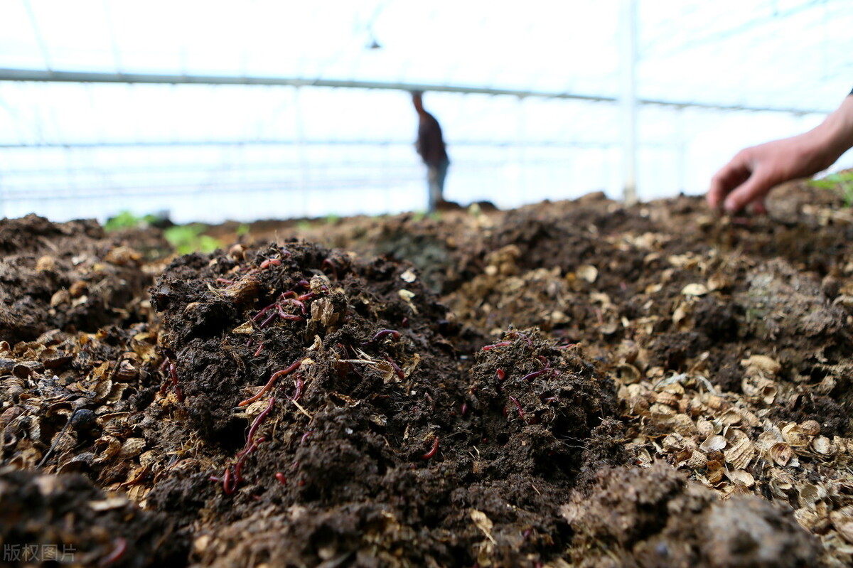 投資一個有機肥廠有沒有前景？