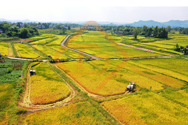 農(nóng)業(yè)部通知:“加快制定農(nóng)民施用有機(jī)肥的補(bǔ)貼政策”!