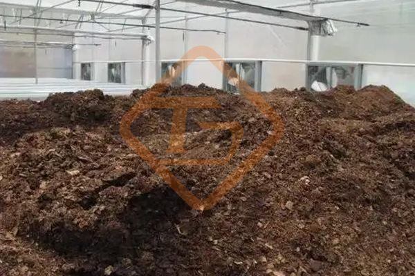 印度:蚯蚓把城市有機(jī)垃圾變成絕佳肥料