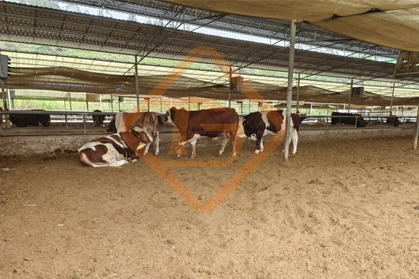 農(nóng)業(yè)農(nóng)村部:加大畜禽糞污資源化利用的扶持力度