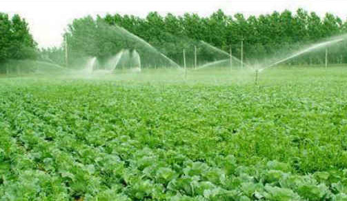 如何利用果渣藥渣制作有機(jī)肥