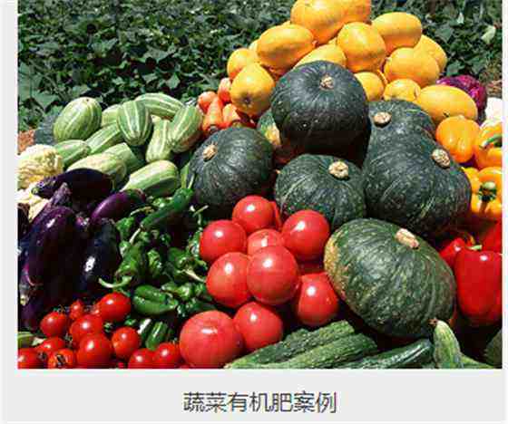 農(nóng)業(yè)步入新階段，有機(jī)肥設(shè)備大力推動(dòng)畜牧業(yè)綠色循環(huán)發(fā)展