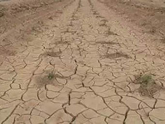 土壤板結問題，這次真的全說清楚了！